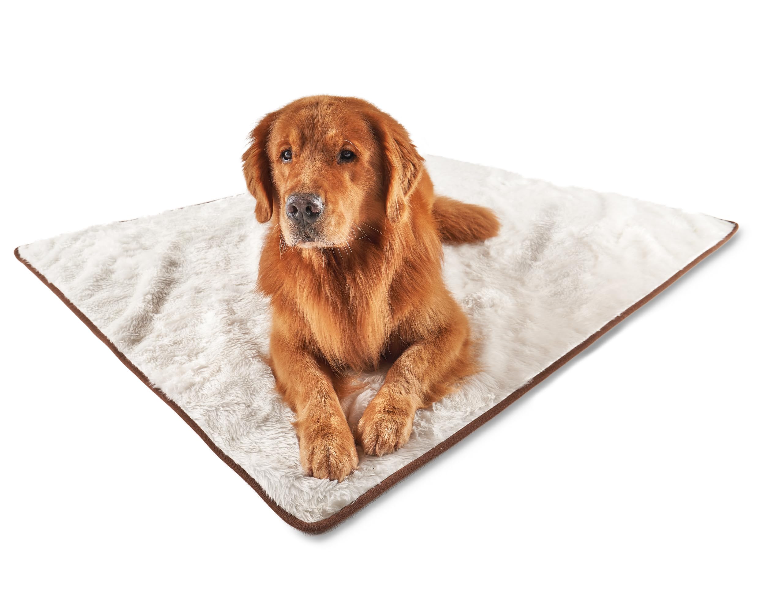 Amazon.com: PupProtector Waterproof Throw Blanket for Dogs and